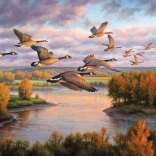 Puzzle Migráció COBBLE HILL 1000 darab