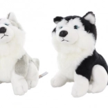 Plüss husky 15 cm