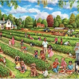 Falcon Puzzle Eper szüret 1000 darabos