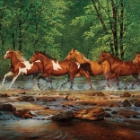 Puzzle Klus a Spring Creek 1000 darab