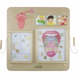 Masterkidz Oktatási Tábla Ízlelés Montessori