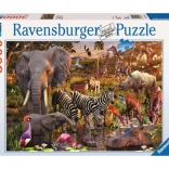 Ravensburger puzzle Afrikai állatok 3000 db