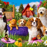 Élvezetes Puzzle Mancs Őrjárat 1000 darab