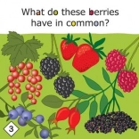 Yummy! oktatójáték az egészséges táplálkozásról 3 éves kortól