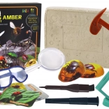 Archeológiai készlet Rovarok borostyánban