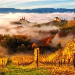 Enjoy puzzle A szőlőhegyen 1000 darab