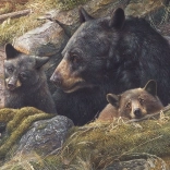 Cobble Hill Medvecsalád puzzle 1000 darab