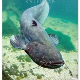 Falra szerelhető horgásznaptár 2026