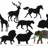 Állatos kaparásos képek - szivárvány 8db