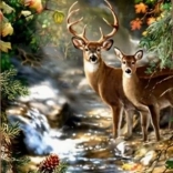 Gyémántfestés Szarvas és Őz az Erdői Pataknál