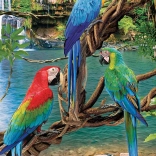 EUROGRAPHICS puzzle Ara papagáj XL 250 darab