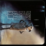 Harry Potter Dobby piknik takaró