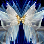 Gyémántfestés Arany pillangó 30x40cm