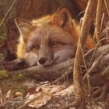 Puzzle COBBLE HILL – Barátságos érintés – 500 darab