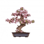 fa 3D bonsai cseresznyevirág kirakó