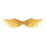 Arany angyalszárnyak