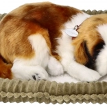 Lélegző plüss bernáthegyi kiskutya