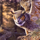 Puzzle Esti Vadász 1000 darab