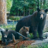 Eurographics puzzle Új felfedezések 1000 darab