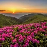 Rózsaszín Alkonyat Puzzle 1000 darab