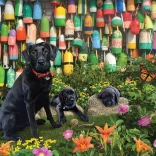 COBBLE HILL Puzzle Jófiúk 500 darab