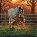 COBBLE HILL Csend 500 darabos puzzle