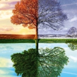 Puzzle A négy évszak fája 500 darab