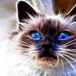 Gyémántszemes festés Macskamágia 30 × 40 cm