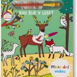 Festés vízzel: Ki él az erdőben?