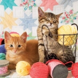 Puzzle Lágy Gombolyagok 1000 Darab