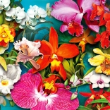 Dzsungel orchidea puzzle 1000 darab