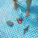 Vizi állatok gyerekeknek