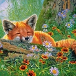 Foxy Dreams 100 darabos puzzle
