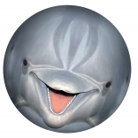 SPORTO víz alatti labda – delfin medencébe és kertbe