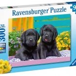 Ravensburger puzzle Puppy Life 300 darabos