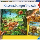 Ravensburger puzzle Állatok 3×49 darab