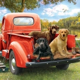 Puzzle Barátok a vízen 1000 darab