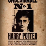 Mini puzzle HARRY POTTER 50 darab – plakát