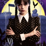 Puzzle 300 darabos Wednesday