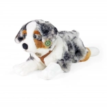 Plüss ausztrál juhászkutya fekvő, 61 cm, környezetbarát