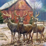 Puzzle Három Király COBBLE HILL 1000 darabos