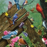 Puzzle Erdői Madarak 1000 Darab Cobble Hill