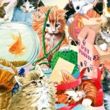 Élvezze a puzzle kíváncsi macskák 1000 darabos