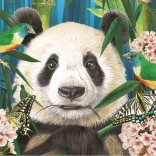 ANATOLIAN kirakó – Panda a paradicsomban, 260 darab