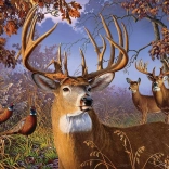 Cobble Hill puzzle Szarvasok és fácánok 500 darab