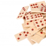 Fa dominó katicabogarakkal