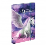 A5-ös füzetbox pegazus motívummal