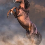 Puzzle Nagy Piros Mén