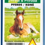 Kvartett - Lovak műanyag dobozban