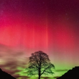 Heye Puzzle A Természet Ereje: Sycamore Gap 1000 Darab